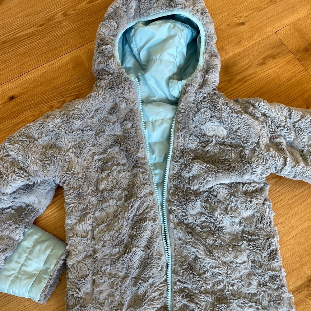 COPY - Northface toddler mossbud swirl jacket